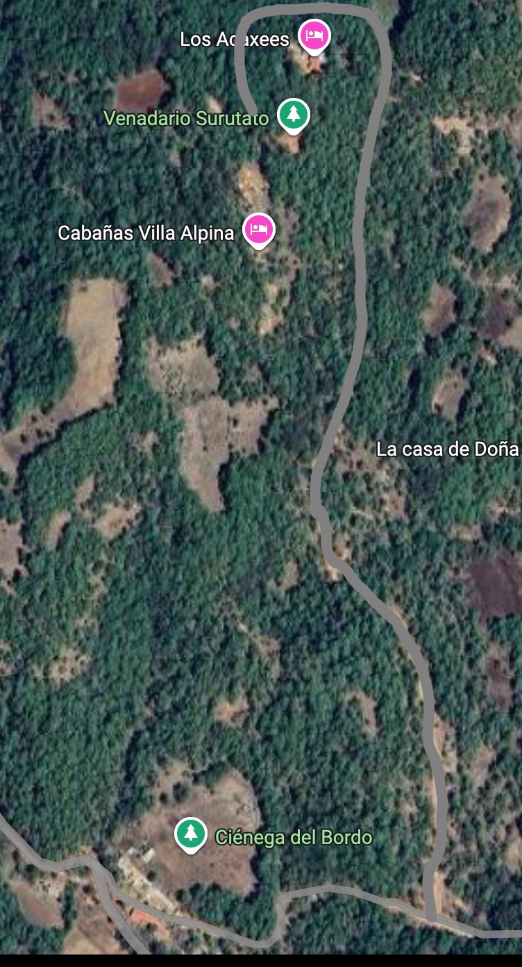 Vista satelital de Los Acaxees y Venadario Surutato